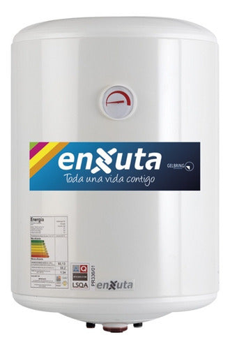 Calefón Termotanque De Acero Enxuta 60 Lts